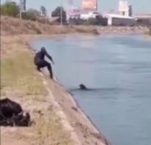 Lee más sobre el artículo VIDEO Policía de Culiacán rescata a un perro de morir ahogado en un canal de agua