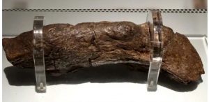 Lee más sobre el artículo La popó más grande de la historia es exhibida; habría pertenecido a un vikingo