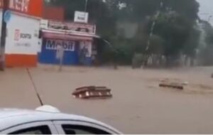 Lee más sobre el artículo Xalapa: Circula en redes video de ataúd flotando en calles inundadas por huracán »Grace»