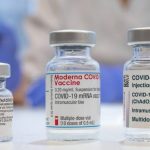 Vacunas contra el COVID-19: gráfico muestra cómo funcionan