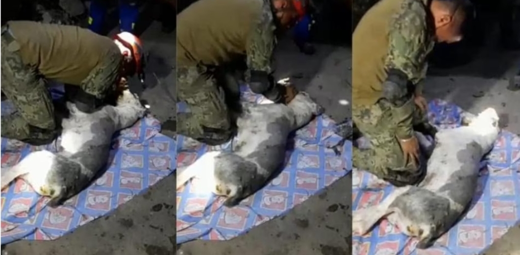 Soldado rompe en llanto, por no poder reanimar a un perrito que había quedado atrapado en el Cerro del Chiquihuite