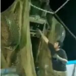 Un barco camaronero de Mazatlán «pescó» un auto con sus redes.
