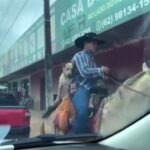 Video: Perrito es captado mientras paseaba por las calles, montando a caballo junto a su dueño.