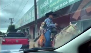 Lee más sobre el artículo Video: Perrito es captado mientras paseaba por las calles, montando a caballo junto a su dueño.
