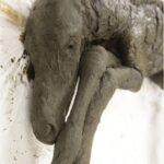 Descubren en Siberia los restos intactos de una cría de caballo extinto hace 40.000 años
