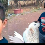 Torturan y asesinan a niño de 13 años en su propia casa en Puebla
