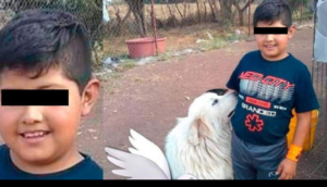 Lee más sobre el artículo Torturan y asesinan a niño de 13 años en su propia casa en Puebla