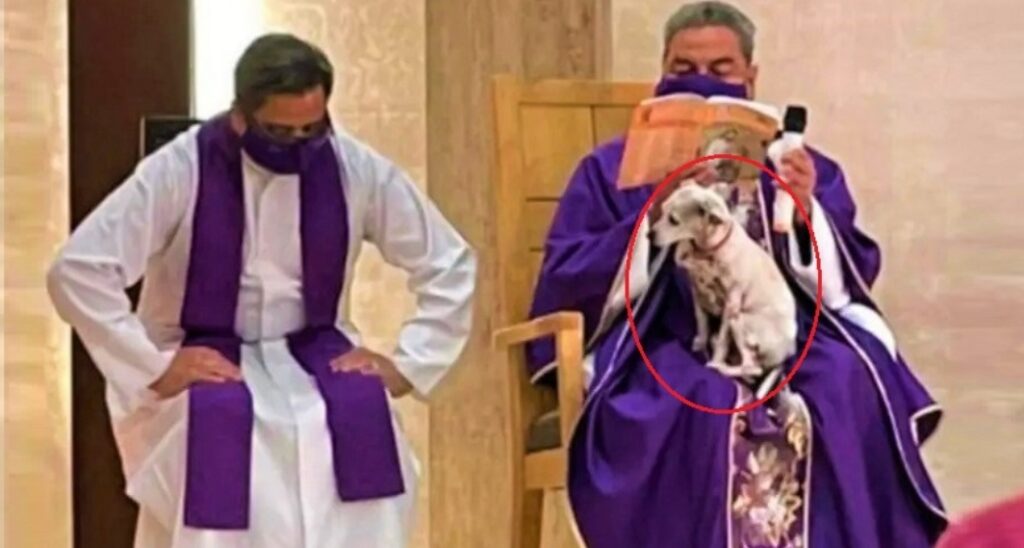 Sacerdote da misa con su perro enfermo, la gente lo critica