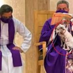 Sacerdote da misa con su perro enfermo, la gente lo critica
