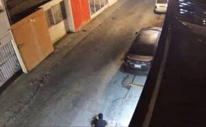 Lee más sobre el artículo Perros frustran asalto en casa de Saltillo, Coahuila; ladrón se cae por la azotea