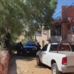 Hallan Restos Desmembrados en Zacatecas: Un Macabro Descubrimiento en la Colonia Francisco E García