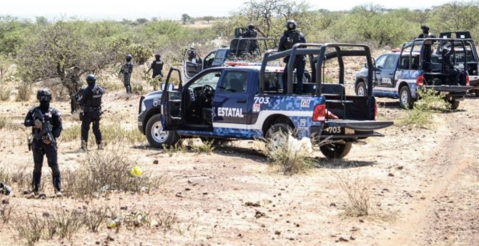 Lee más sobre el artículo «Hijo de regidora del PRI en Fresnillo, Zacatecas, es hallado golpeado tras secuestro»