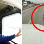 «Video: Trailero héroe: La emotiva acción de un conductor que salvó a un niño en carretera»
